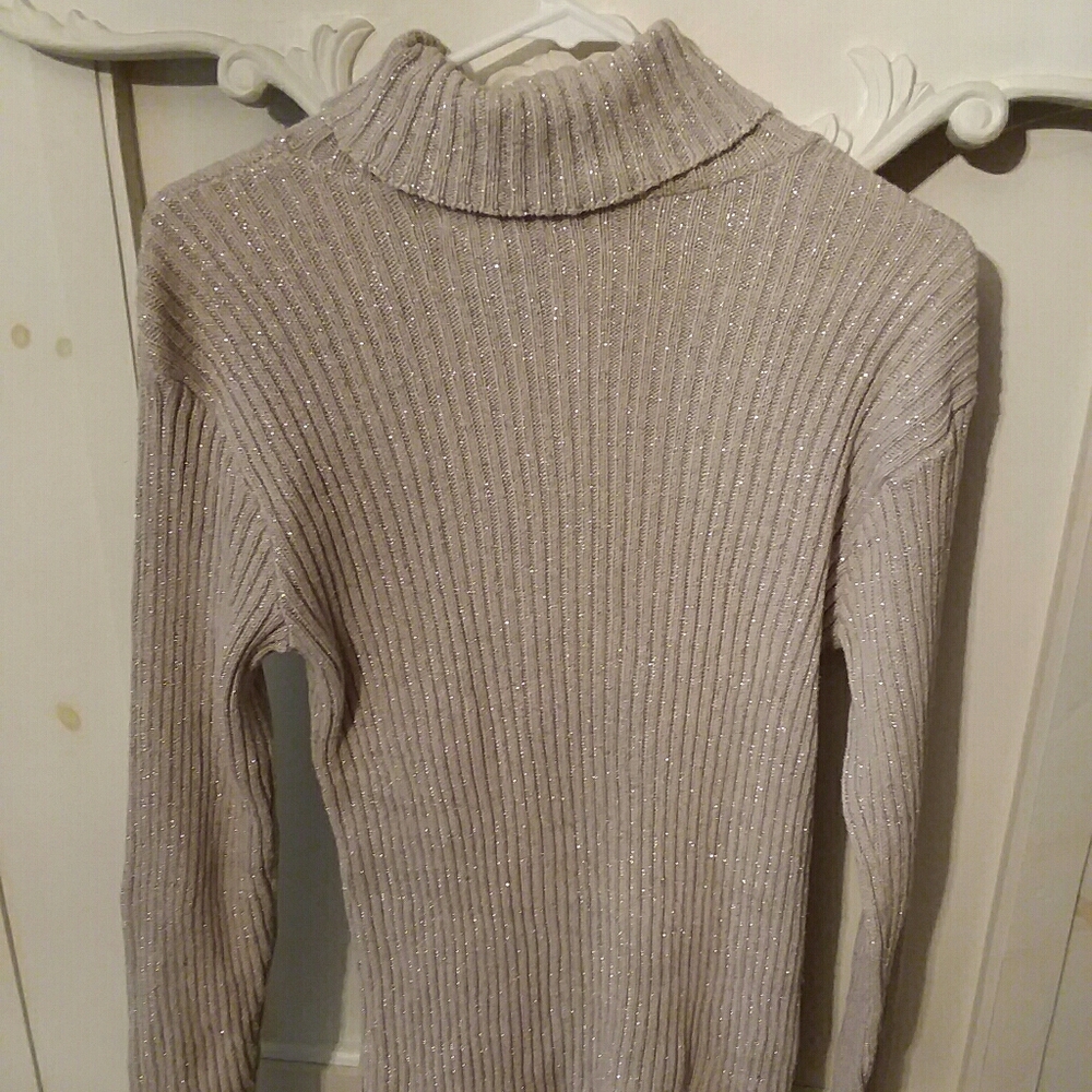 Silver Turtleneck